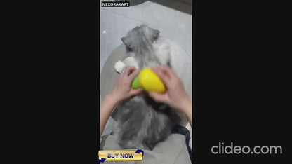 Steaming Pet Hairbrush